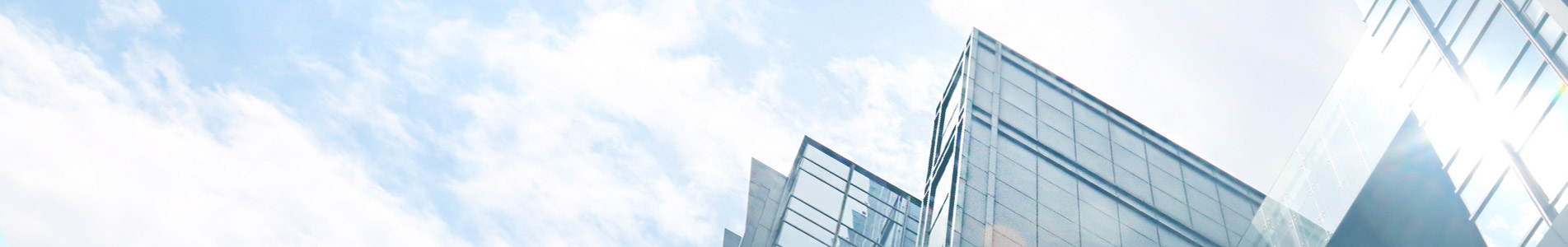 nybanner
